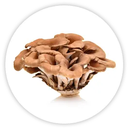 Maitake
