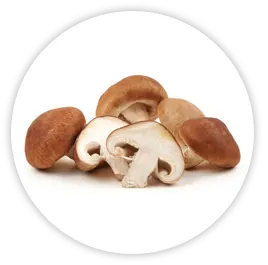 Shiitake